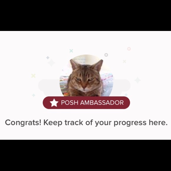 Meet your Posher, Ashleigh - Picture 2 of 10